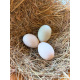 6 Exhibition Quality Selection Box of Pure Breed Duck Hatching EggsA&J Poultry