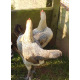 6 Ginger Partridge Oxford Old English Game Bantam Hatching Eggs A&J Poultry